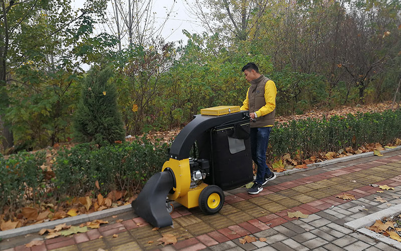 手推式樹(shù)葉收集器BY-T2