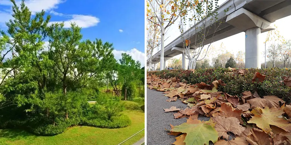 純電動樹葉收集車_多功能樹葉收集車_吸樹葉的機器_掃樹葉神器
內容