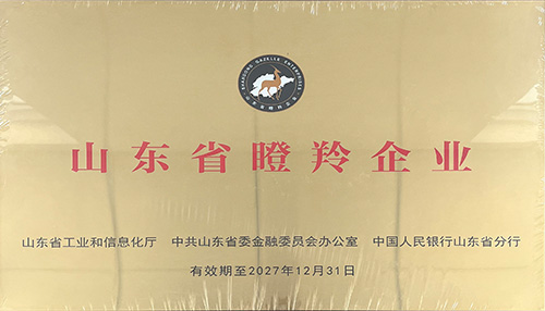 濟(jì)南百易長青發(fā)展歷程